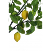 Ramo di limone con foglie e frutti, altezza 120 cm
