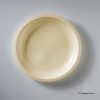 Piatto serie Round champagne in plastica pp