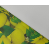 Carta da regalo fantasia limoni, formato 70x100 cm, confezione da 25 fogli