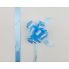 Coccarda laccio velox diamant, colore azzurro, confezione da 30 pezzi