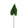 Foglia di calla verde, altezza 79 cm
