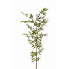 Canna di bambù verde, altezza 160 cm