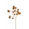 Ramo di rambutan oro, altezza 68 cm