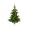 Pino Grandis verde, altezza 240 cm, diametro base 162 cm