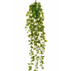 Cespuglio di edera cadente verde, lunghezza 180 cm