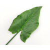 Foglia di calla verde, altezza 79 cm