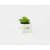 Porta vaso in legno Cheap bianco, formato 7x7 cm altezza 6 cm