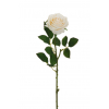 Rosa Ecuador con stelo, altezza 65 cm, vari colori