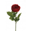 Rosa Cabbage rosso con stelo, altezza 64 cm