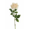 Rosa aperta su stelo, altezza 64 cm, vari colori