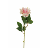 Rosa aperta su stelo, altezza 64 cm, vari colori