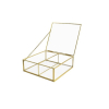 Portapianta Terrarium rettangolare in vetro e metallo oro con divisorio, lunghezza 9.2x6.7 cm, altezza 4.2 cm