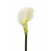Calla bianca con stelo, altezza 75 cm