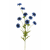 Fiordaliso blu, altezza 81 cm
