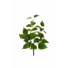Cespuglio di Ficus religiosa verde, altezza 64 cm