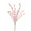 Cespuglio di Fiori di pesco, altezza 100 cm, vari colori