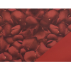 Bobina Petals in PPL fantasia fondo e interno rosso, altezza 1 metro, lunghezza 25 metri