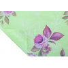Carta velina "Regina", 50x70 cm, fondo verde, confezione da 24 pezzi
