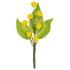 Pick Mimosa gialla, altezza 16.5 cm, confezione da 12 pezzi