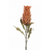 Ananas tropicale con stelo e foglie, altezza 82 cm, vari colori