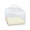 Scatola trasparente in PVC con fondo in cartone rialzato, base 25x25 cm, altezza 16 cm, confezione da 10 pezzi