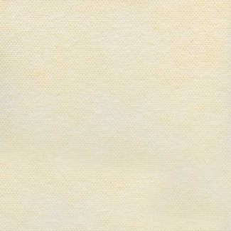 Tovaglia quadrata in tessuto non tessuto "Import" 100x100cm, cartone da 100 pezzi