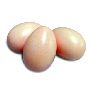 Uova di plastica in busta da 50 pezzi