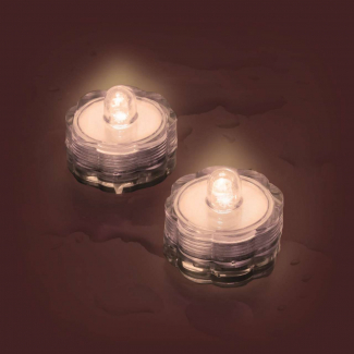 LED SOMMERGIBILE CON  LUCE CALDA FISSA DIAM3XH2.5CM 2PZ