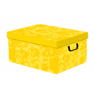 Scatola armadio con maniglie colori tinta unita, formato 39x50 cm, altezza 25 cm, vari colori