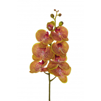 Orchidea con stelo, altezza 102 cm