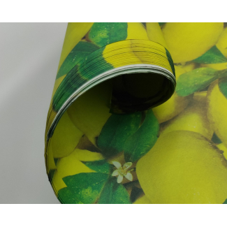 Carta da regalo fantasia limoni, formato 70x100 cm, confezione da 25 fogli