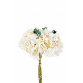 Bouquet ortensie crema 35 cm