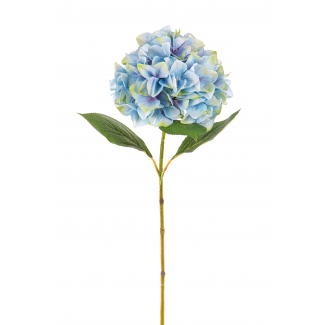 Ortensia singola con stelo azzurra sfumata 69 cm