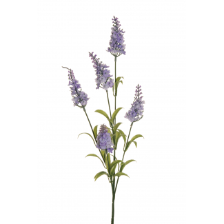 Mazzo di lavanda, altezza 71 cm