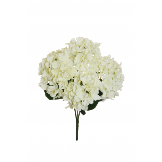 Mazzo di ortensie, altezza 48 cm