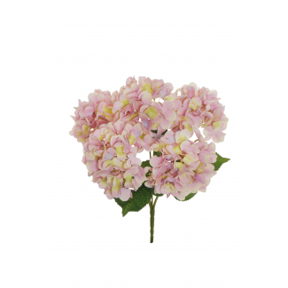 Mazzo di ortensie, altezza 48 cm