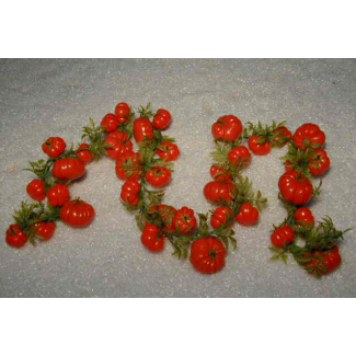 Festone ramo 36 pomodori formati assortiti, lunghezza 200 cm