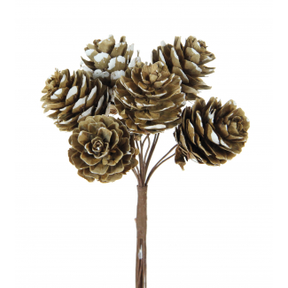 Pick pigna naturale bianca, diametro 2.5 cm, confezione da 72 pezzi