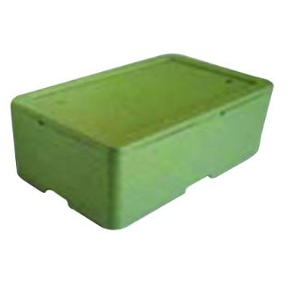Scatola termica in polistirolo verde con coperchio, base rettangolare