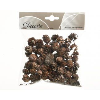Pigna naturale con glitter