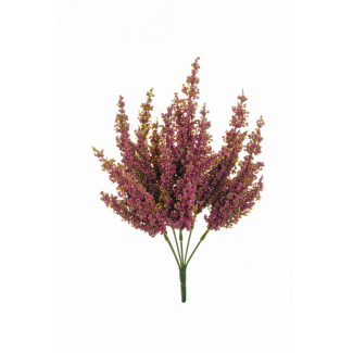 Cespuglio di "Erica", altezza 32 cm