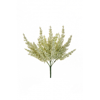 Cespuglio di "Erica", altezza 32 cm