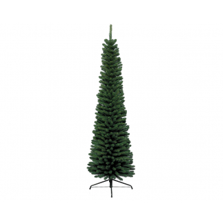 Pino "Pencil" verde, altezza 210 cm, diametro base 60 cm