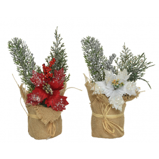 Pianta natalizia diametro 8 cm, altezza 26 cm, modelli assortiti