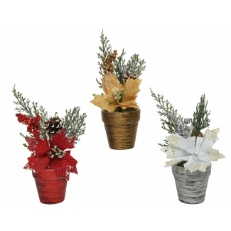 Pianta natalizia diametro 8 cm, altezza 25 cm, modelli assortiti