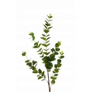 Ramo di eucalipto, altezza 100 cm