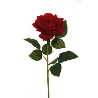 Rosa "Regina" in velluto rosso con stelo, altezza 74 cm