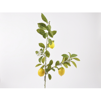 Ramo di limone con frutti e fiori, lunghezza 110 cm