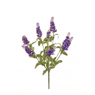 Mazzo di lavanda, altezza 33 cm