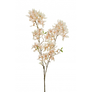 Ramo con magnolia, altezza 90 cm